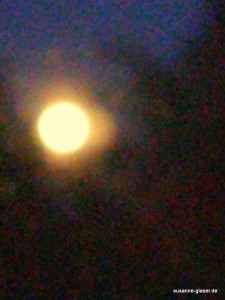 IMG_20120505_212332_1-001