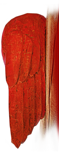 Wing decoration
